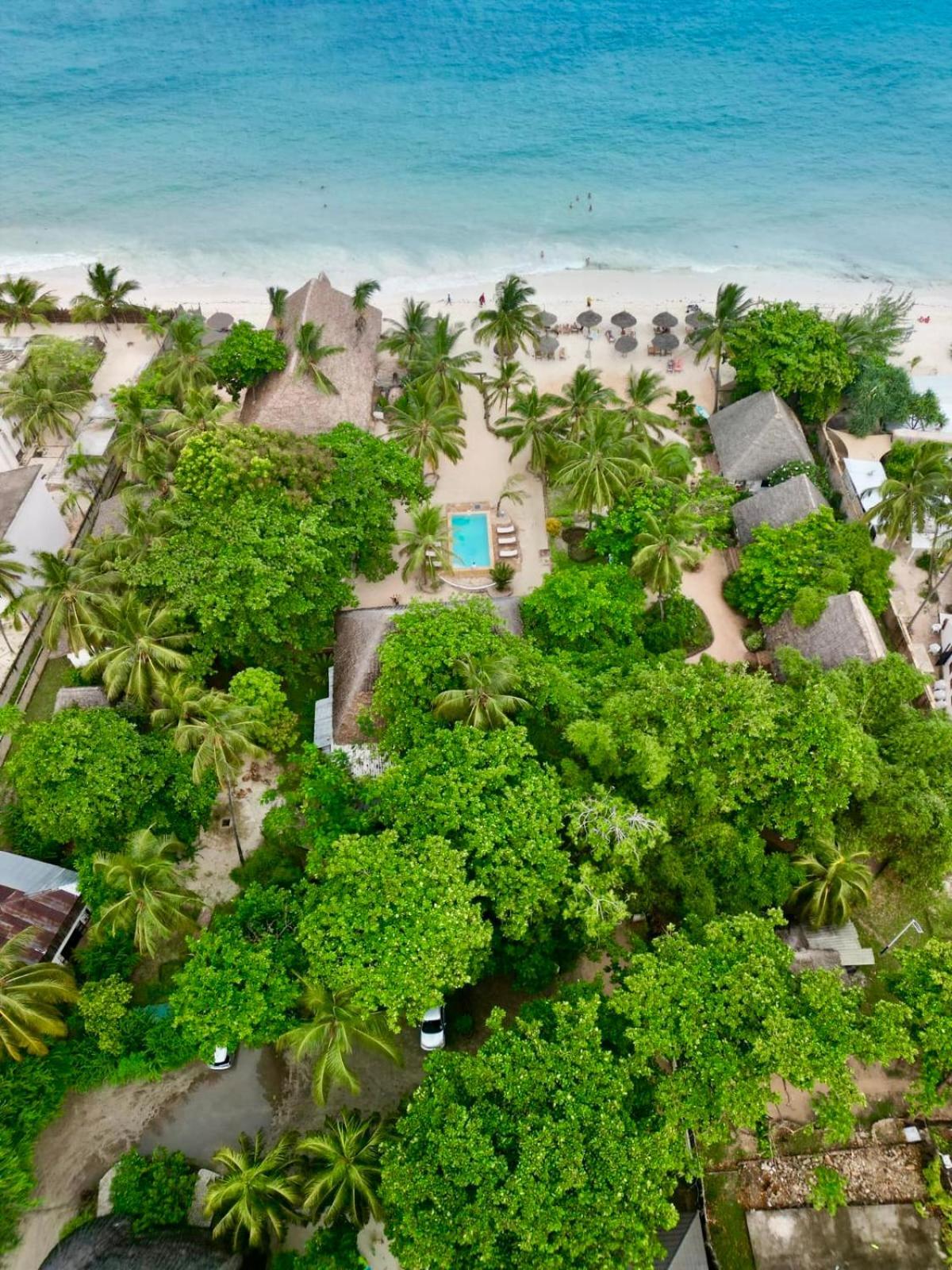 Mambo Ocean Resort Làng Làng Pwani Mchangani Ngoại thất bức ảnh