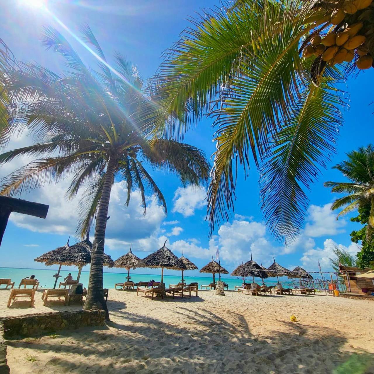 Mambo Ocean Resort Làng Làng Pwani Mchangani Ngoại thất bức ảnh