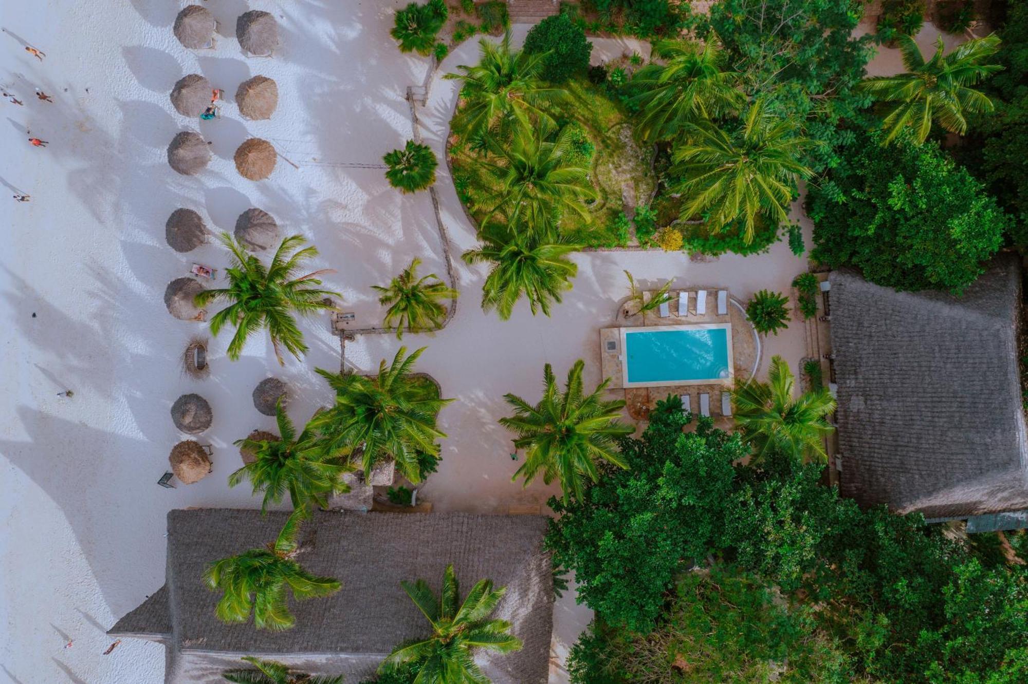 Mambo Ocean Resort Làng Làng Pwani Mchangani Ngoại thất bức ảnh